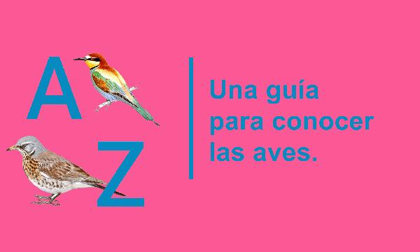 negar Intolerable Contable De la A a la Z: abecedario de aves - SEO/BirdLife